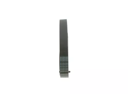 BOSCH V-Ribbed Belt (1 987 947 068)