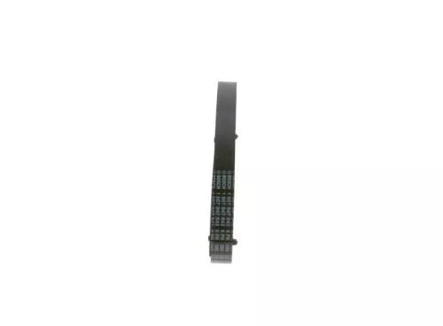 BOSCH V-ribbed Belt (1987947842)