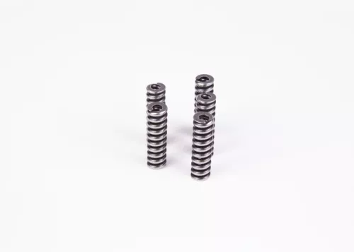 BOSCH Spring (2434614055)