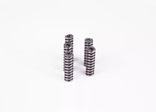 BOSCH Spring (2434614055)