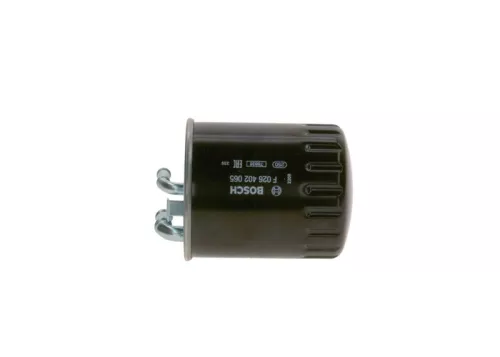 BOSCH Fuel Filter (F026402065)