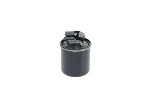 BOSCH Fuel Filter (F026402838)
