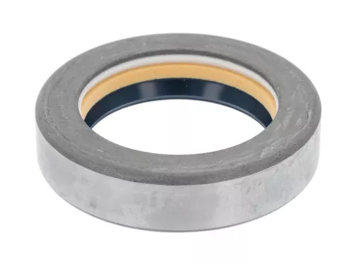 Shaft Seal, differential