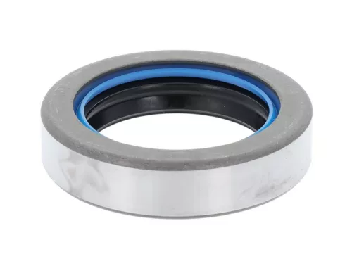 Shaft Seal, differential