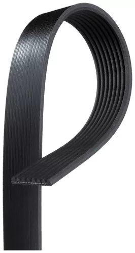 V-Ribbed Belt