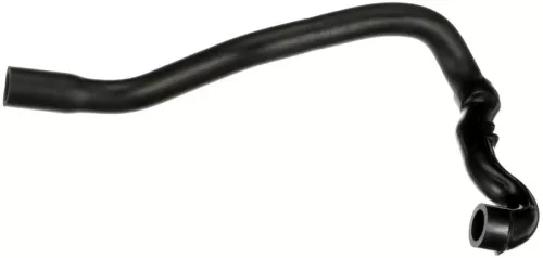 Hose, crankcase ventilation