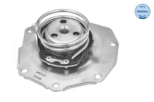 MEYLE Water Pump, engine cooling (5132200006)