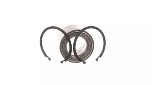 SKF Wheel Bearing Kit (VKBA3981)