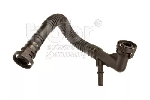 Hose, cylinder head cover ventilation