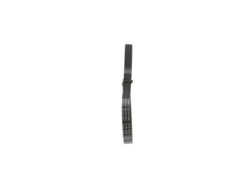BOSCH V-ribbed Belt (1987947961)