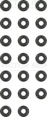 Seal Set, valve stem