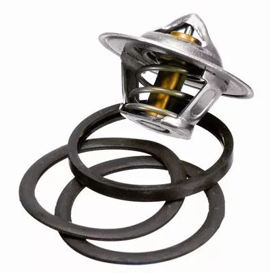 BorgWarner (Wahler) Thermostat, coolant (3136.88D50)