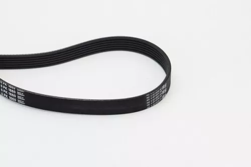V-ribbed Belt