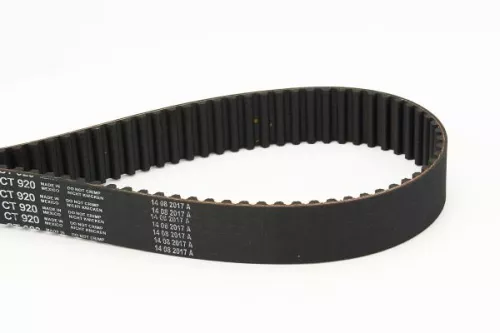 Timing Belt