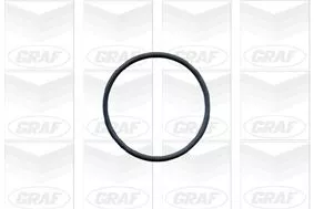 GRAF Water Pump, engine cooling (PA603)