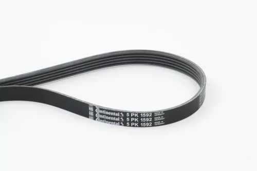 V-ribbed Belt