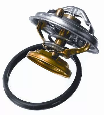 BorgWarner (Wahler) Thermostat, coolant (4176.85D)