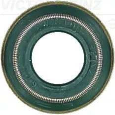 Seal Ring, valve stem