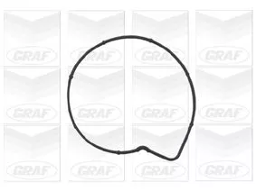 GRAF Water Pump, engine cooling (PA736)