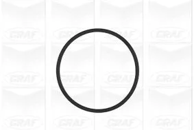 GRAF Water Pump, engine cooling (PA953)