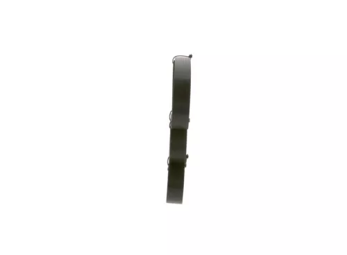 BOSCH V-ribbed Belt (1987947950)