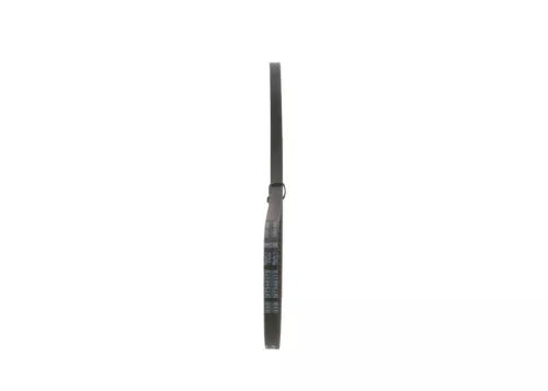 BOSCH V-Belt (1987947634)