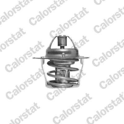 Thermostat, coolant