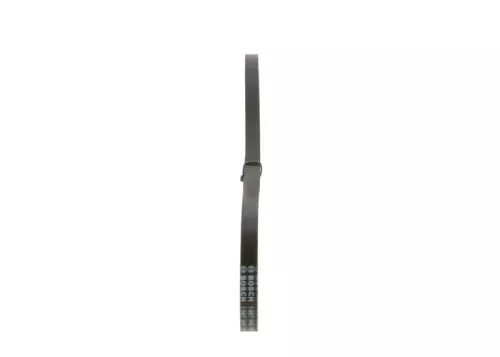 BOSCH V-Belt (1987948139)