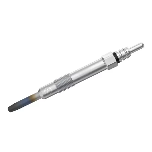 BOSCH Glow Plug (0250202036)