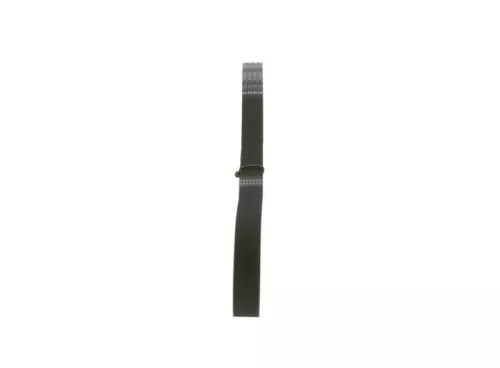 BOSCH V-ribbed Belt (1987946036)