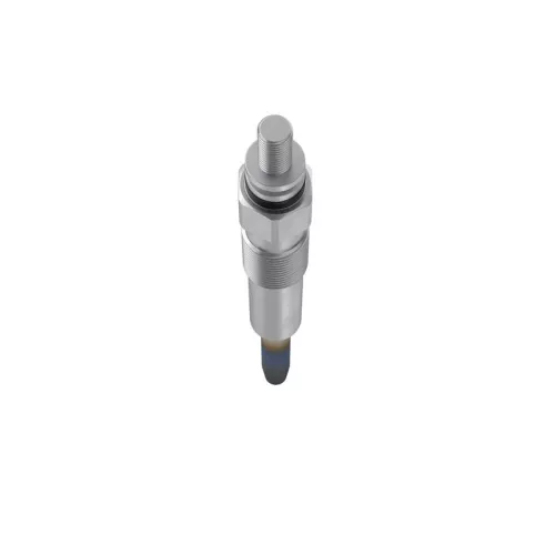 BOSCH Glow Plug (0250202025)