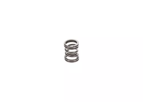 BOSCH Spring (2464633002)