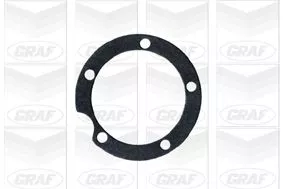 GRAF Water Pump, engine cooling (PA134)