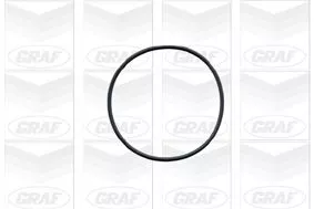 GRAF Water Pump, engine cooling (PA491)
