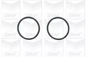 GRAF Water Pump, engine cooling (PA779)