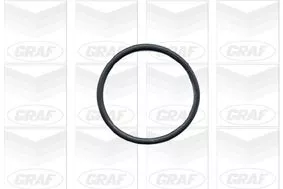 GRAF Water Pump, engine cooling (PA432A)