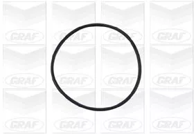 GRAF Water Pump, engine cooling (PA730)
