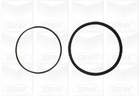 GRAF Water Pump, engine cooling (PA695)