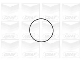 GRAF Water Pump, engine cooling (PA727)