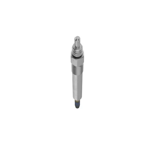BOSCH Glow Plug (0250202038)