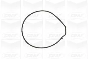 GRAF Water Pump, engine cooling (PA884)