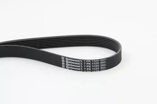 Poly V-Belt
