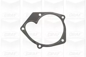 GRAF Water Pump, engine cooling (PA907)