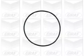 GRAF Water Pump, engine cooling (PA577)