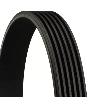 CONTINENTAL CTAM V-ribbed Belt (6PK1680)