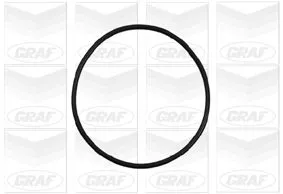 GRAF Water Pump, engine cooling (PA898)