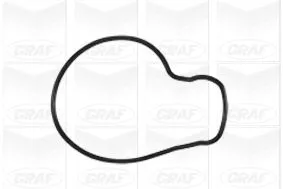 GRAF Water Pump, engine cooling (PA943)