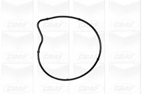GRAF Water Pump, engine cooling (PA978)