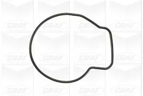 GRAF Water Pump, engine cooling (PA876)