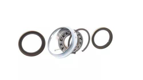 SKF Wheel Bearing Kit (VKBA3308)